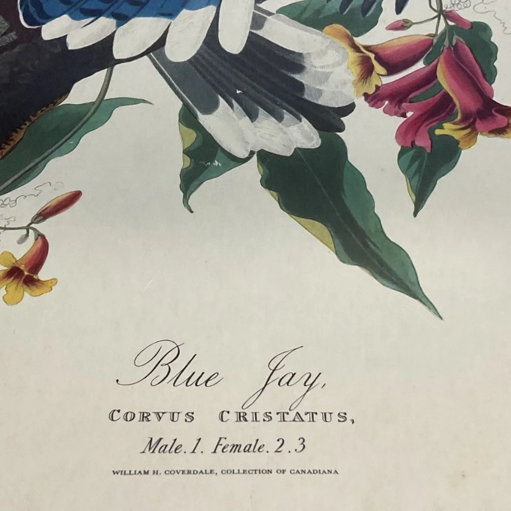 Blue and White Bird Art Calendar1946